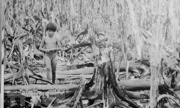 60 ans de la catastrophe de l agent orange dioxine au Vietnam  une guerre cruelle